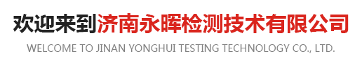 進口红杏APP视频在线观看